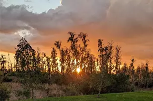 32558 Tree Of Life Ave, Wesley Chapel, FL 33543 - Photo 73