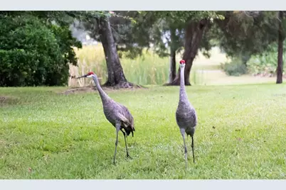 16135 Lytham Drive, Odessa, FL 33556 - Photo 59