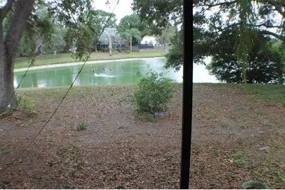 1723 Bell Ranch Street, Brandon, FL 33511 - Photo 33