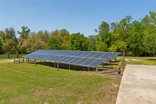 32641 Blueberry Hl Wy, Dade City, FL 33523 - Photo 69