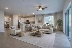 4666 Stargazer Ct, Palm Harbor, FL 34683 - Photo 3