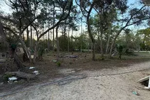 13390 Highgrove Rd, Spring Hill, FL 34609 - Photo 17