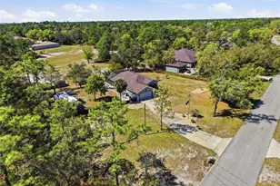 10494 Desert Sparrow Ave, Weeki Wachee, FL 34613 - Photo 43