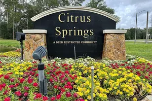 7248 N Radcliff Ave, Citrus Springs, FL 34434 - Photo 39