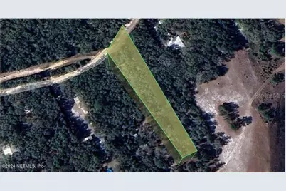 7033 Gatorbone Road, Keystone Heights, FL 32656 - Photo 3