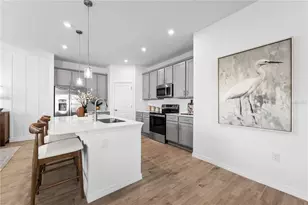 10132 Morning Meadowlark Trl, Parrish, FL 34219 - Photo 13