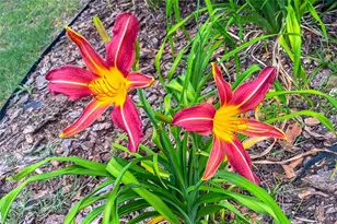 989 NW 231st Way, Newberry, FL 32669 - Photo 31