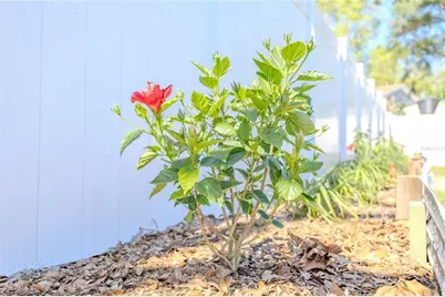 10002 Oakengate Place, Tampa, FL 33624 - Photo 31