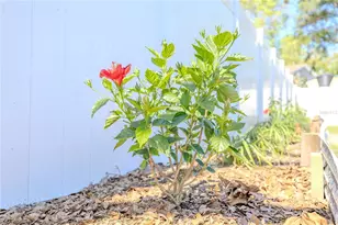 10002 Oakengate Pl, Tampa, FL 33624 - Photo 31