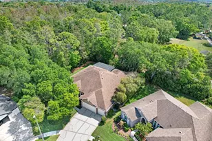 10201 Millport Dr, Tampa, FL 33626 - Photo 51