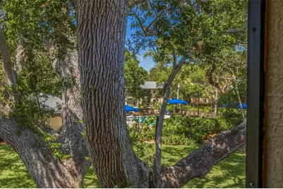 3001 58th Avenue S #1014, Saint Petersburg, FL 33712 - Photo 31