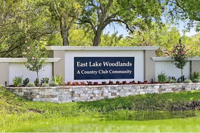 1384 Forestedge Boulevard, Oldsmar, FL 34677 - Photo 43