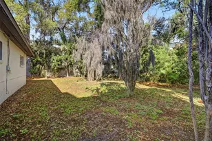 4811 S Sunset Blvd, Tampa, FL 33629 - Photo 11