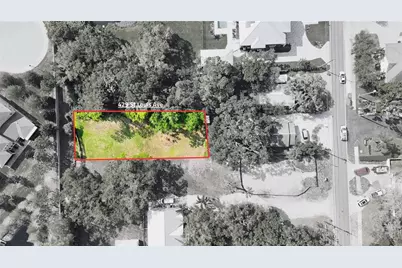 429 St Louis Avenue, Palm Harbor, FL 34683 - Photo 3
