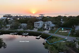 231 Lagoon Dr, Palm Harbor, FL 34683 - Photo 1