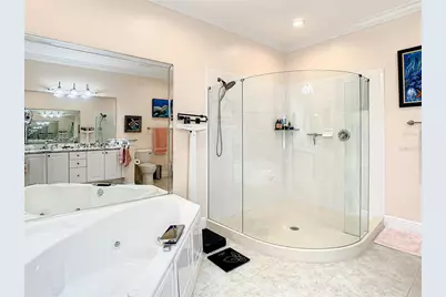 6818 Sombras Way, Land O Lakes, FL 34637 - Photo 47