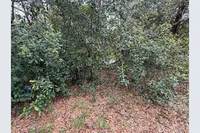 4922 Ackerman Street, New Port Richey, FL 34653 - Photo 9