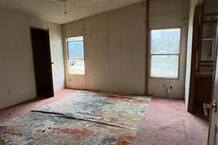 10106 S Alma St, Gibsonton, FL 33534 - Photo 49