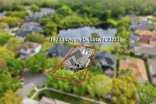 18733 Chopin Dr, Lutz, FL 33558 - Photo 61