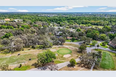 212 S Lockmoor Avenue, Temple Terrace, FL 33617 - Photo 61