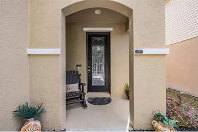 11103 Silver Fern Way, Riverview, FL 33569 - Photo 3