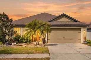 14407 Alistar Manor Dr, Wimauma, FL 33598 - Photo 1