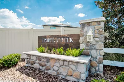 11936 Miracle Mile Drive, Riverview, FL 33578 - Photo 3