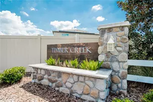 11936 MIracle Mile Dr, Riverview, FL 33578 - Photo 3