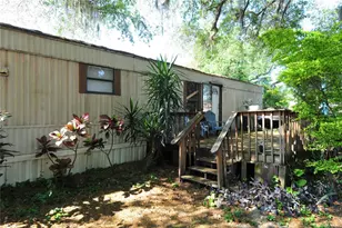 10409 Alafia St, Gibsonton, FL 33534 - Photo 7