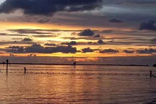 1955 Dartmouth Dr, Holiday, FL 34691 - Photo 47