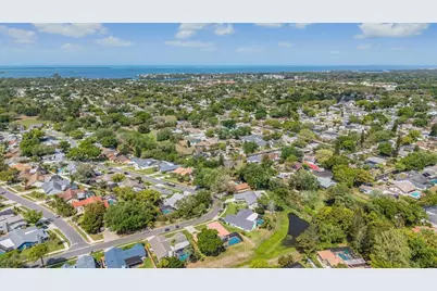 589 Allens Ridge Drive E, Palm Harbor, FL 34683 - Photo 53