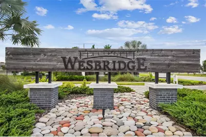 30191 Skylark Drive, Wesley Chapel, FL 33545 - Photo 39