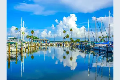 140 Highland Avenue, Dunedin, FL 34698 - Photo 29