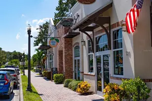 140 Highland Ave, Dunedin, FL 34698 - Photo 31