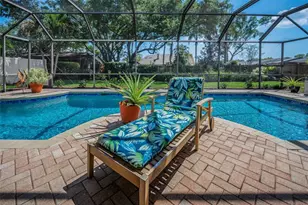 2457 Stag Run Blvd, Clearwater, FL 33765 - Photo 49