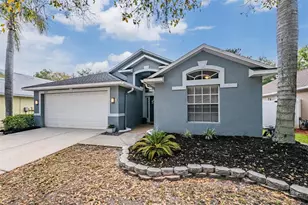 18955 Wood Sage Dr, Tampa, FL 33647 - Photo 33