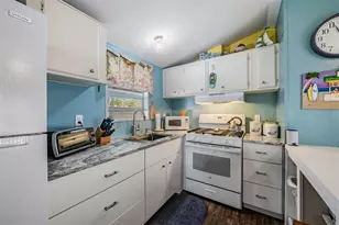 605 Michigan Blvd, Dunedin, FL 34698 - Photo 11