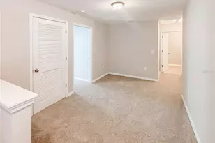 12026 Suburban Sunrise St, Riverview, FL 33578 - Photo 9