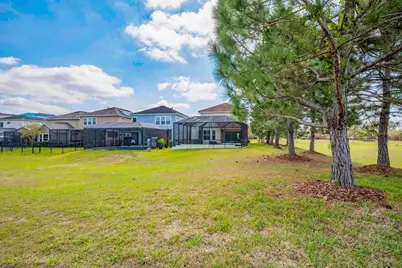 14259 Natures Reserve, Lithia, FL 33547 - Photo 39