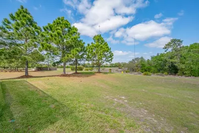 14259 Natures Reserve, Lithia, FL 33547 - Photo 37