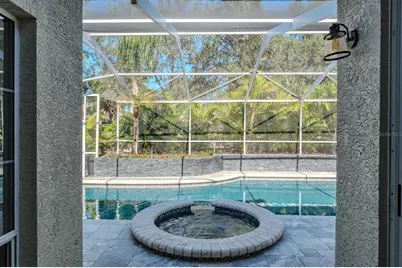 1598 Lockmeade Place, Oldsmar, FL 34677 - Photo 47