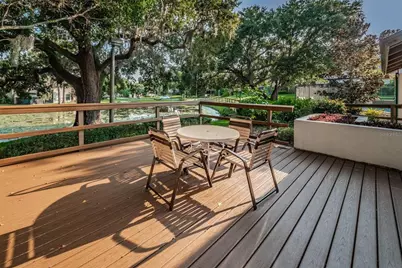 208 Lighthouse Court, Safety Harbor, FL 34695 - Photo 57