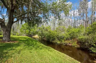 20841 Eustis Rd, Land O Lakes, FL 34637 - Photo 31
