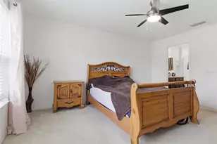10624 Massimo Dr, Wimauma, FL 33598 - Photo 19