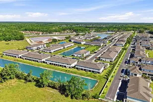 4220 Cloud Hopper Wy, Lutz, FL 33559 - Photo 83
