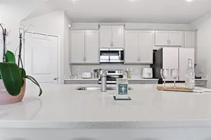4220 Cloud Hopper Wy, Lutz, FL 33559 - Photo 11