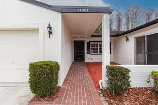 14003 Basin St, Tampa, FL 33625 - Photo 5