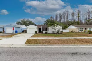 14003 Basin St, Tampa, FL 33625 - Photo 3