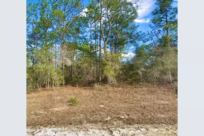 8110 Nordica Road, Weeki Wachee, FL 34613 - Photo 1