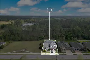 21914 Butterfly Kiss Dr, Land O Lakes, FL 34637 - Photo 57